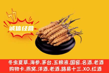九龙坡区回收冬虫夏草